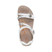 Buy AETREX Jillian online
