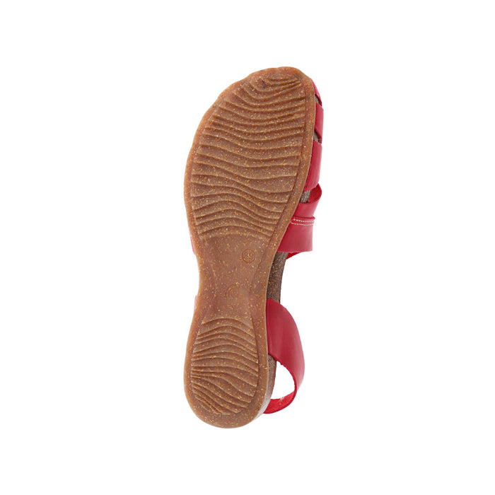 Buy Dragonfly 4456 online
