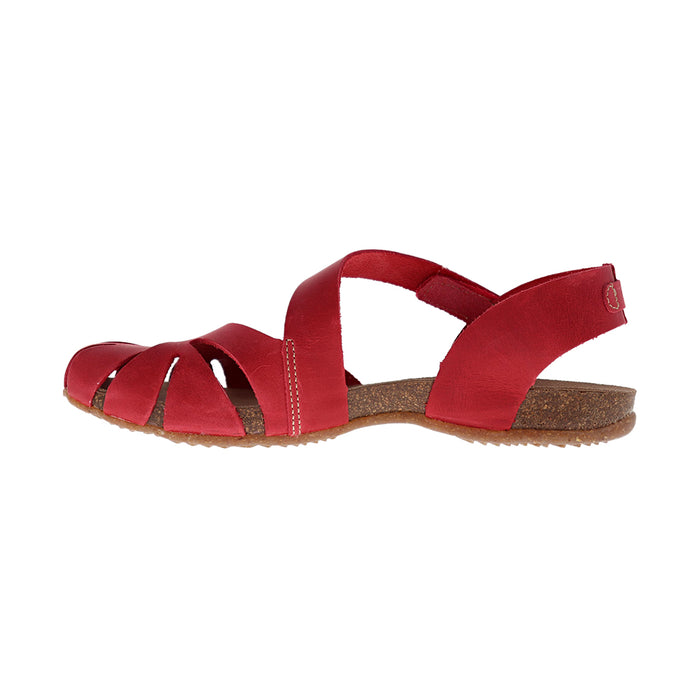 Buy Dragonfly 4456 online