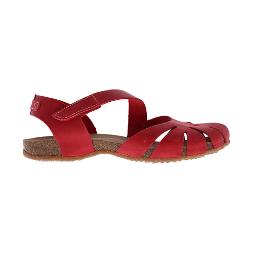 Buy Dragonfly 4456 online