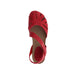 Buy Dragonfly 4456 online