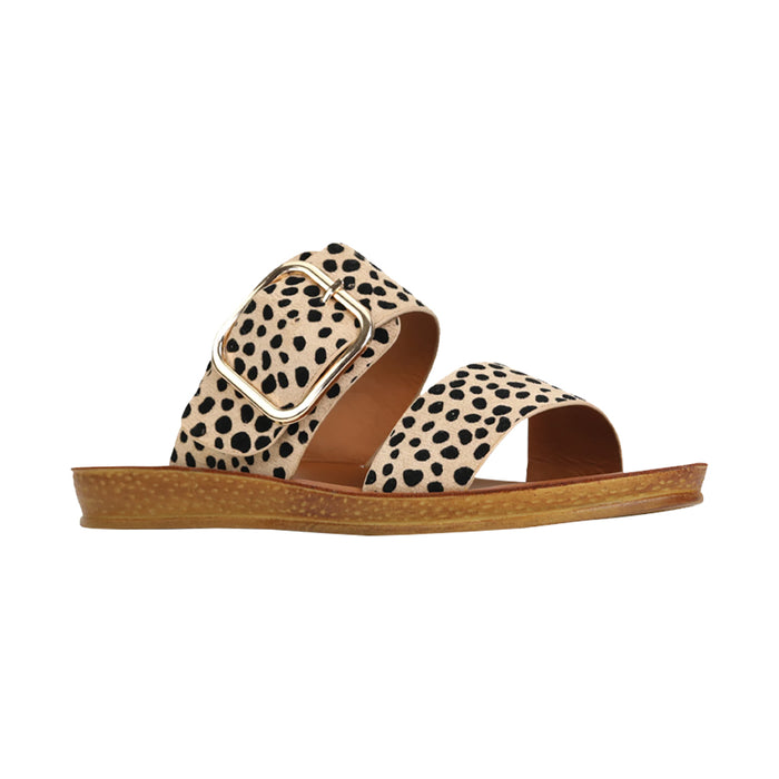 Buy LOS CABOS Doti online