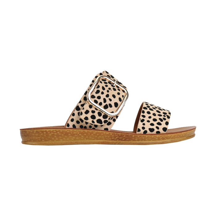 Buy LOS CABOS Doti online