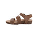 Buy AETREX Lilly online