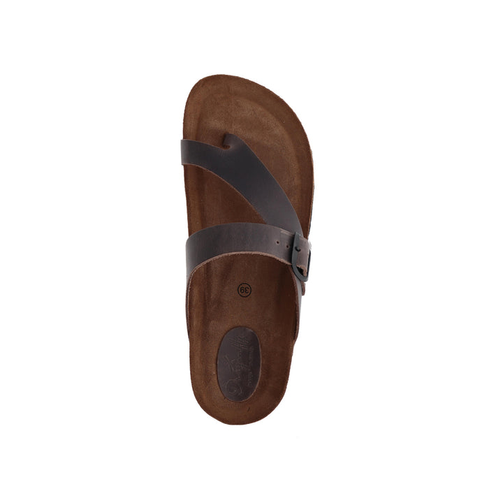 Buy Dragonfly 7119-MM online