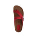 Buy Dragonfly 7119-MM online