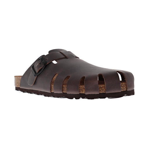 Buy Dragonfly 7506 online