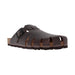 Buy Dragonfly 7506 online