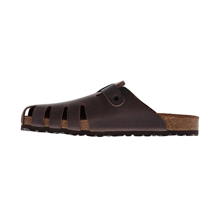 Buy Dragonfly 7506 online