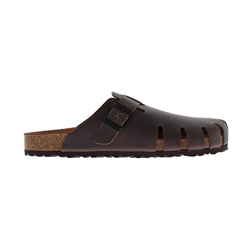 Buy Dragonfly 7506 online