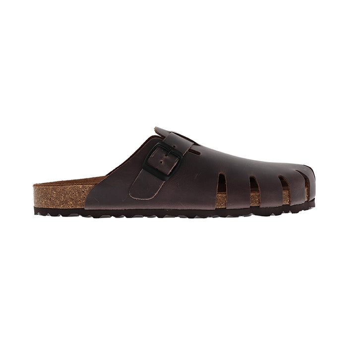 Buy Dragonfly 7506 online