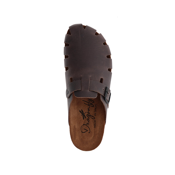 Buy Dragonfly 7506 online