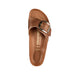 Buy BIRKENSTOCK Madrid Big Buckle - Oiled Leather (Ladies') online