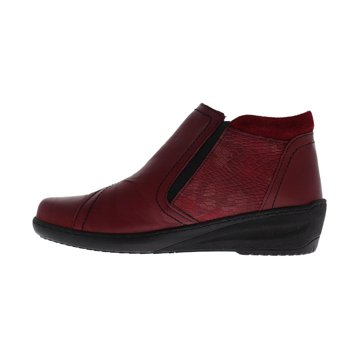 Buy DRAGONFLY CP462-18 online
