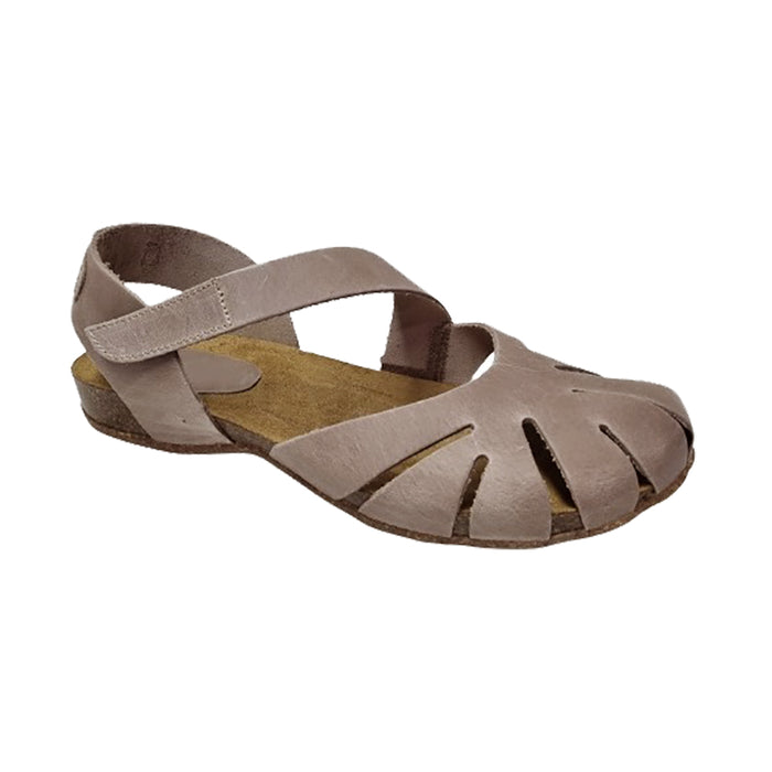 Buy Dragonfly 4456 online