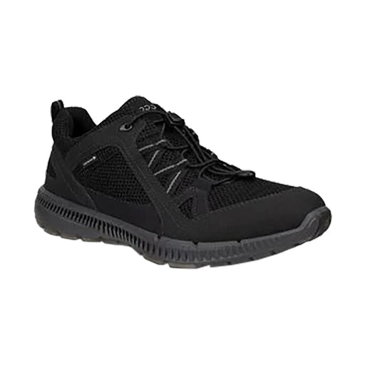 Buy ECCO Shoes Canada Inc. Terracruise II (Men's) online