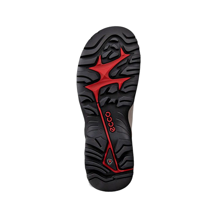 Buy ECCO Shoes Canada Inc. OFFROAD Pathfinder (Men's) online