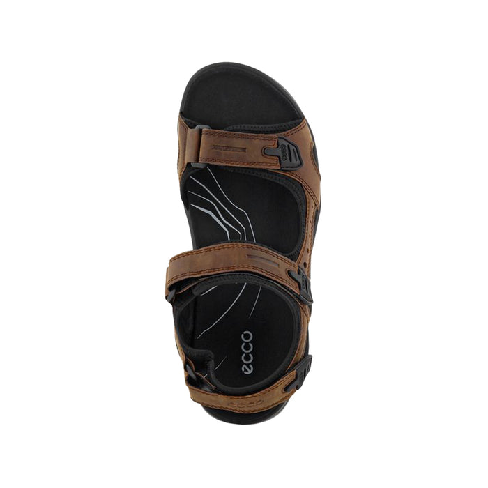 Buy ECCO Shoes Canada Inc. OFFROAD (Men's) online