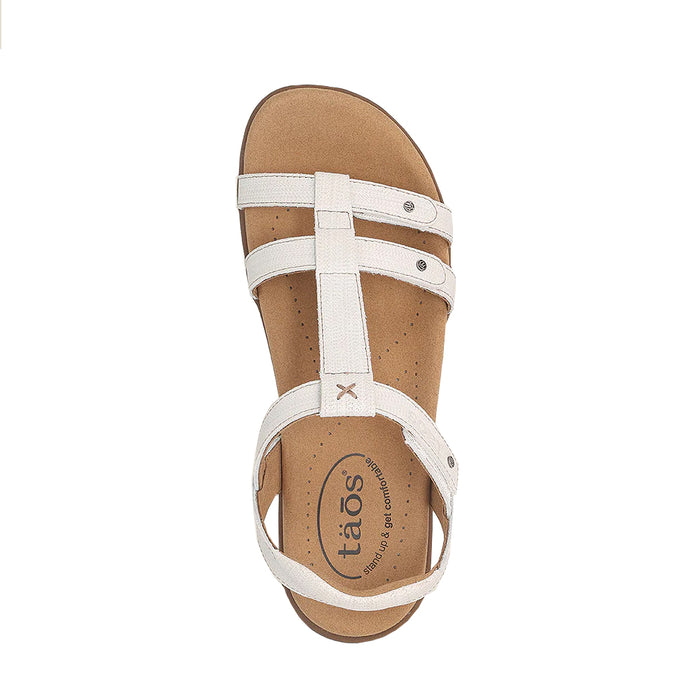 Buy TAOS Trophy 2 online
