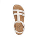 Buy TAOS Trophy 2 online