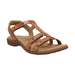 Buy TAOS Trophy 2 online