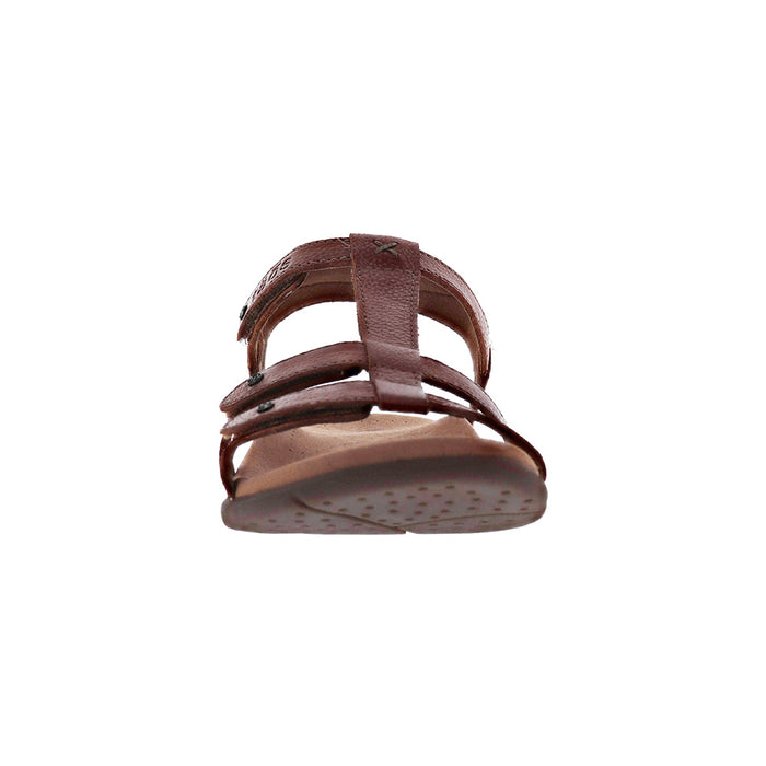 Buy TAOS Trophy 2 online