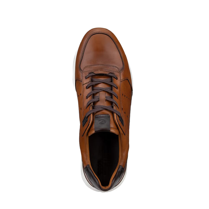 Buy ECCO Shoes Canada Inc. Astir Neo (Men's) online
