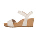 Buy AETREX Lexa online