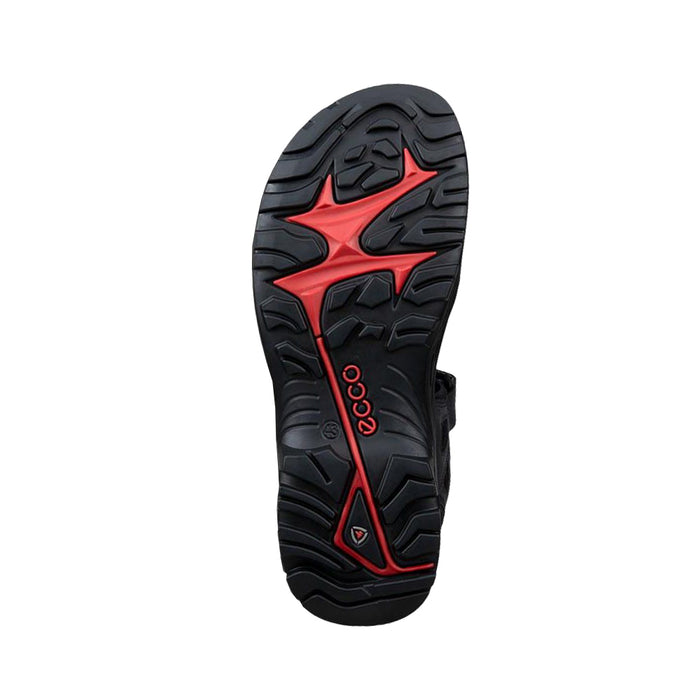 Buy ECCO Shoes Canada Inc. OFFROAD (Men's) online