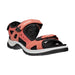 Buy ECCO Shoes Canada Inc. OFFROAD (Ladies') online