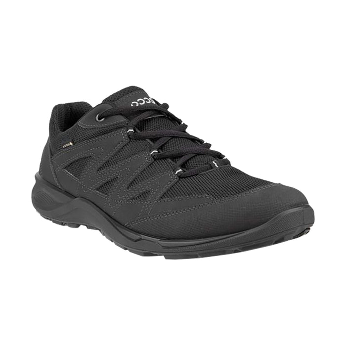 Buy ECCO Shoes Canada Inc. Terracruise Lt GTX (Men's) online