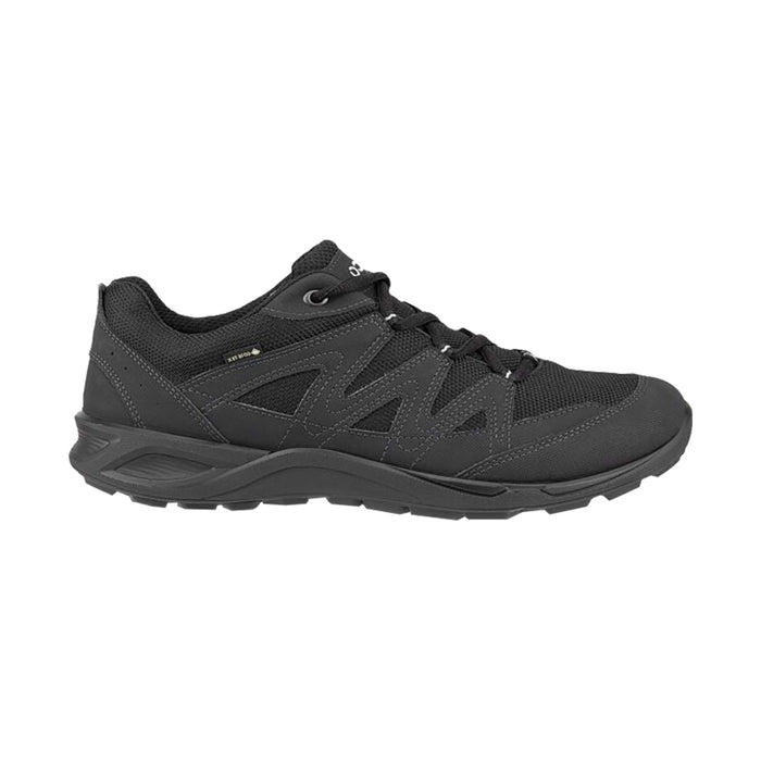 Buy ECCO Shoes Canada Inc. Terracruise Lt GTX (Men's) online