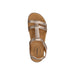 Buy TAOS Trophy 2 online