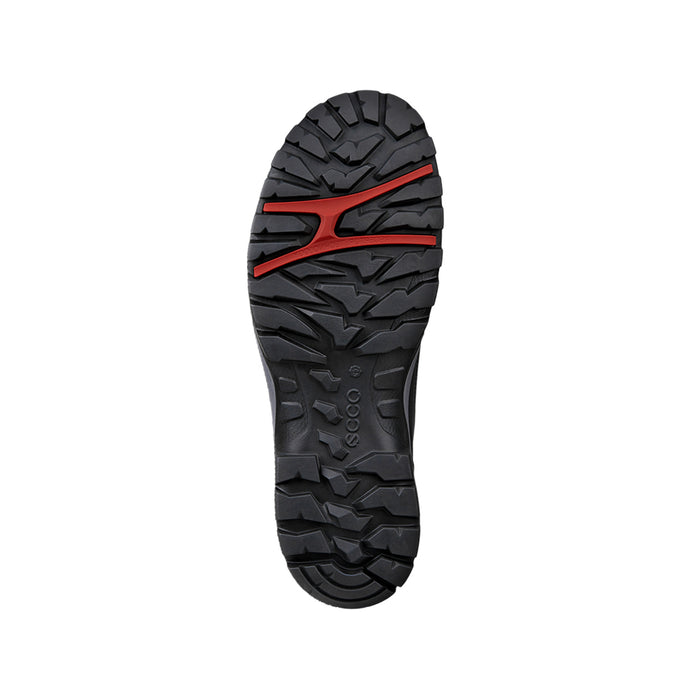 Buy ECCO Shoes Canada Inc. XPEDITION III LOW (Men's) online
