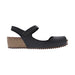 Buy Dragonfly 5386 online