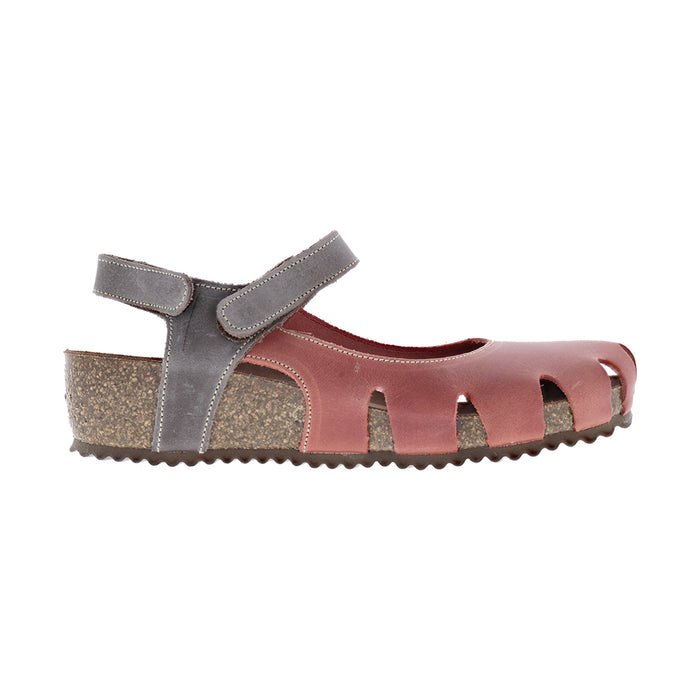 Buy Dragonfly 5326 online