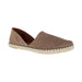 Buy VERBENAS Carmen online