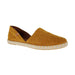 Buy VERBENAS Carmen online