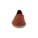 Buy VERBENAS Carmen online