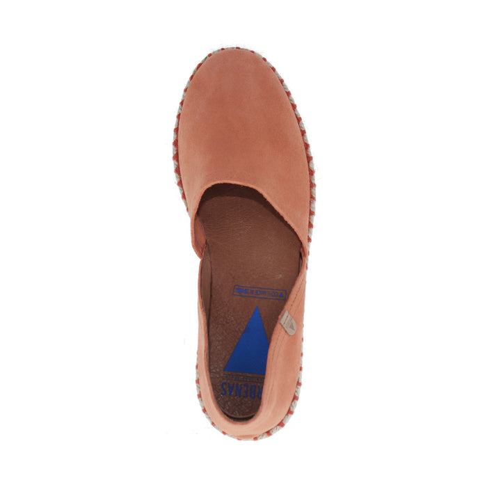 Buy VERBENAS Carmen online