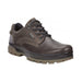 Buy ECCO Shoes Canada Inc. Rugged Track GTX online