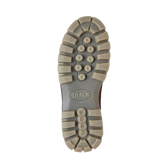 Buy ECCO Shoes Canada Inc. Track 25 M GTX online
